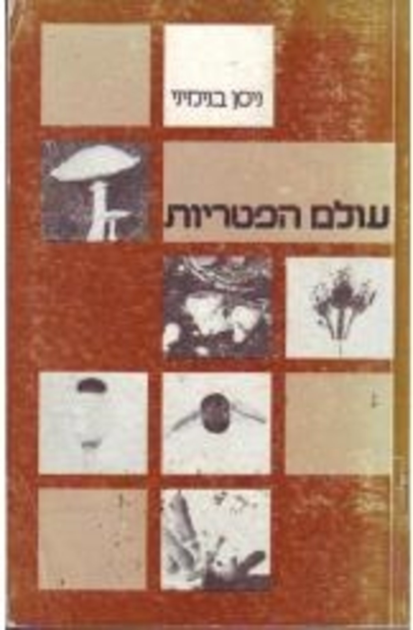 עולם הפטריות